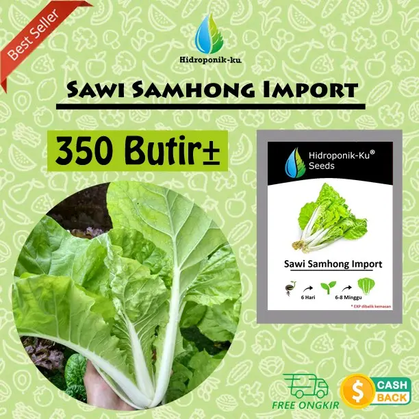 Benih / Bibit Samhong King Sawi Keriting Import (350butir) - Hidroponik Ku
