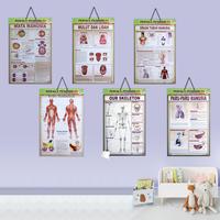Gambar Poster Anak Bingkai Seri Anatomi : Mata / Mulut Dan Lidah / Organ Tubuh / Otot Manuia / Our Skeleton / Paru Edukasi Paper Stationery / Pustaka Baru Press - PB - 7K MATA MANUSIA dari Pustaka Baru Press Kab. Bantul 1 Tokopedia