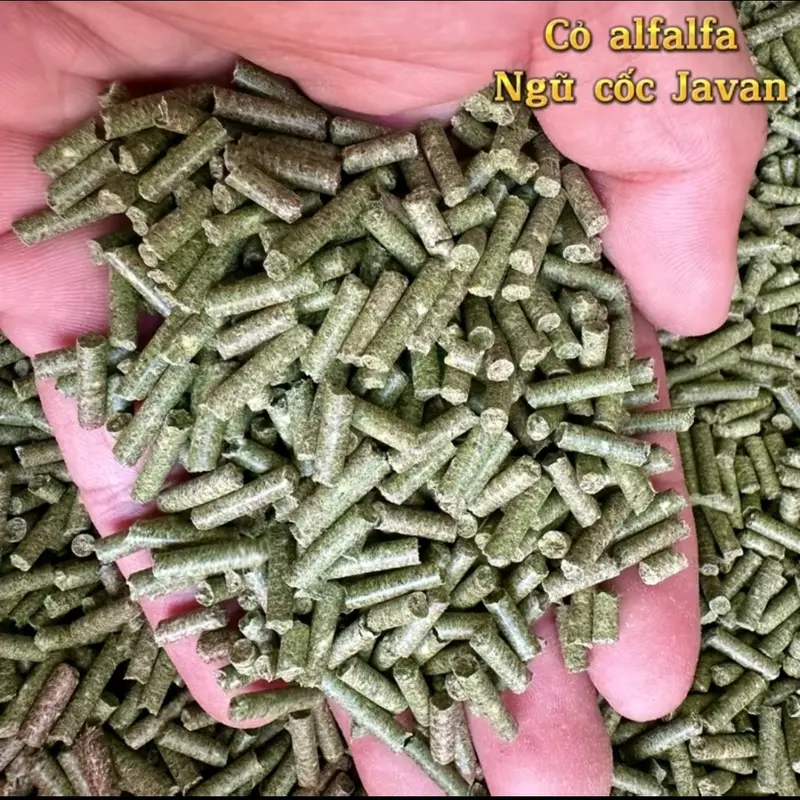 Bịch 2 Ký Cỏ Khô Linh Lăng Alffalfa Ép Viên Size Nhỏ Cho Gà Ăn Hoăc Trộn Chung Ngũ Cốc Cám 3