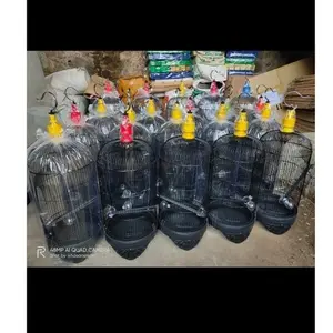 KANDANG LB KUALITAS LUAR BIASA