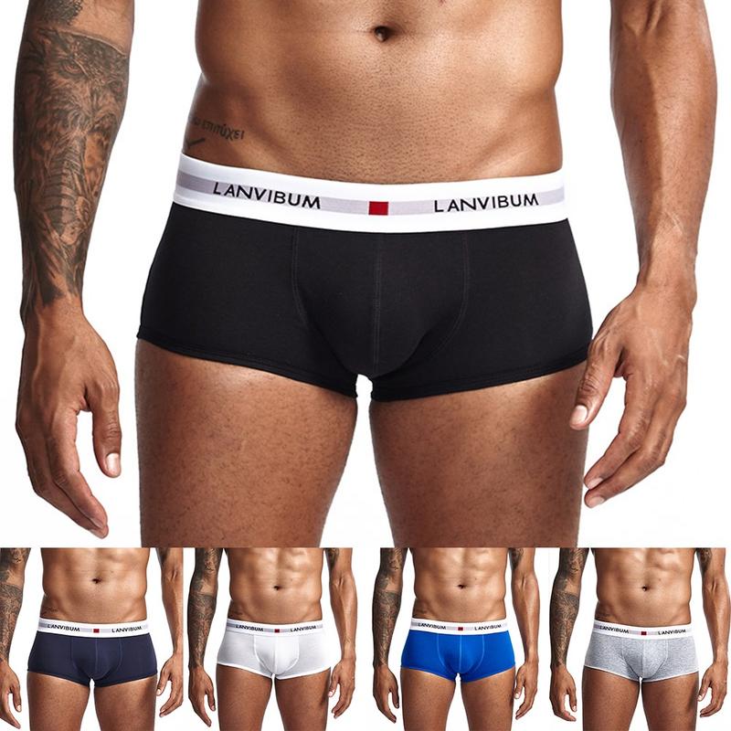 Quần Lót Boxer Cotton, Dành Cho Nam Giới, Thoáng Khí, Ngoại Cỡ, Đồ Lót, Quần Lót