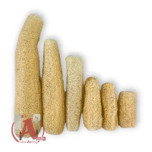 Loofah Aneka Ukuran / Oyong Kering Grade A / Gambas Loofah