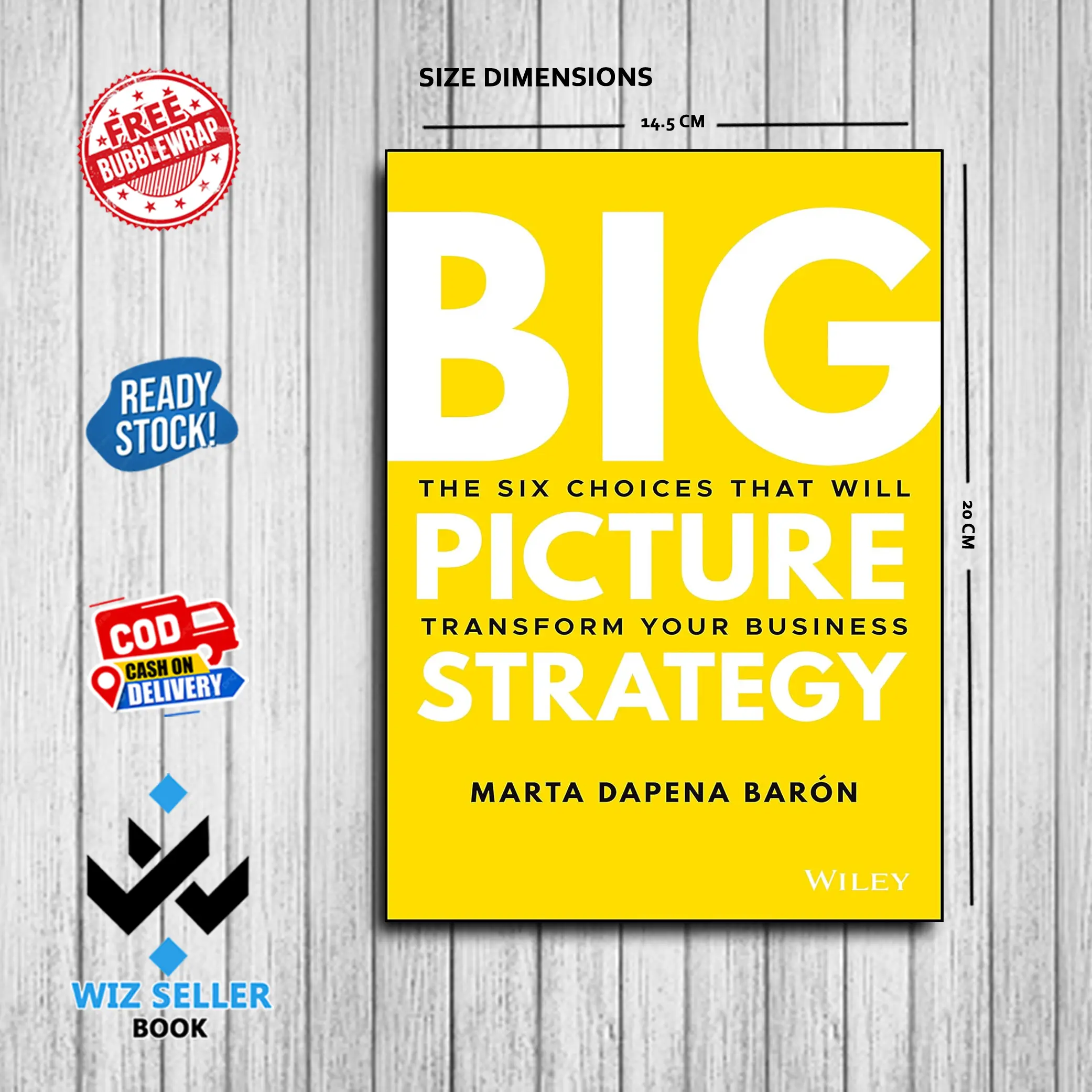 Big Picture Strategy - Marta Dapena Baron (English)