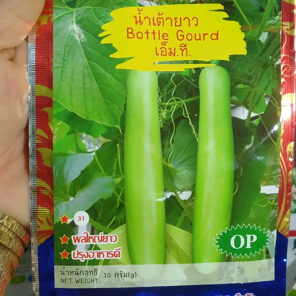 H.ẠT GI.ỐNG BẦU SAO SIÊU DÀI ĐẶT RUỘT