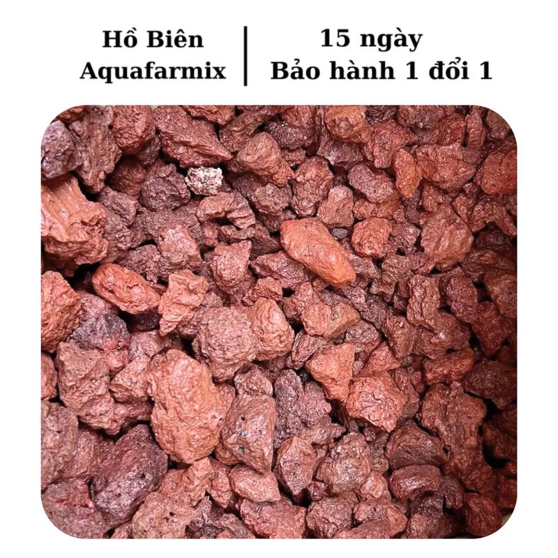  Đá Nham Thạch - Vật liệu lọc nước cho bể cá và hồ thủy sinh đá  nham lót nền đá  vi đá lọc hồ cá lót  nền  hồ  cá 