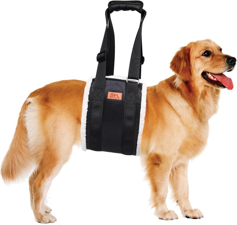 Dog rehab harness best sale