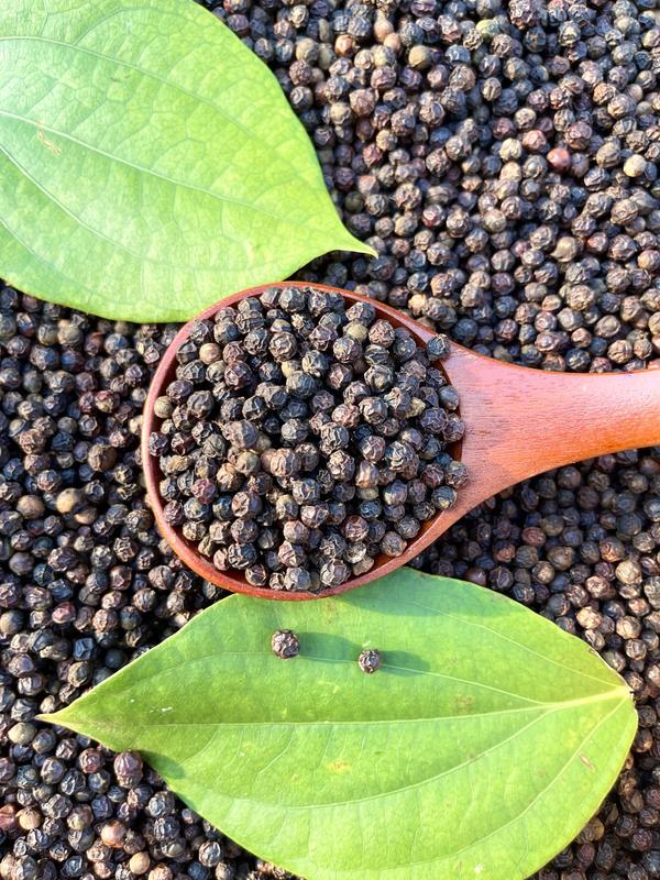 Tiêu của mẹ - 300GR Tiêu đen Đắk Lắk Cay Gia Vị