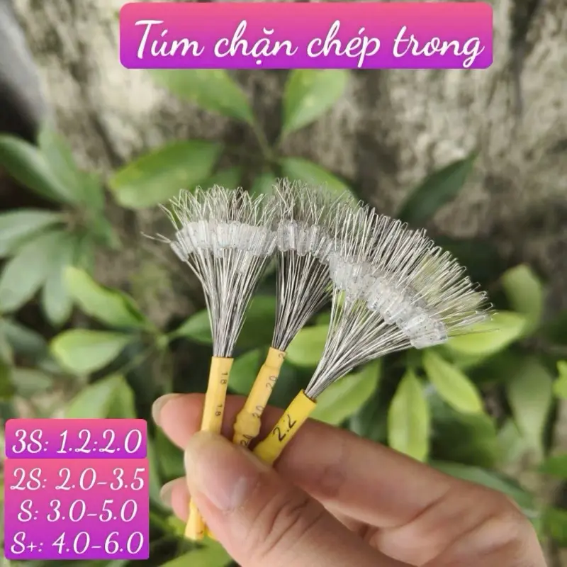 Túm hạt chặt trong 100chặn