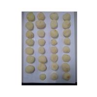 Gambar IKPS Water Chestnuts Kacang Kastanye 567 Gram dari PT IKPS Kota Administrasi Jakarta Utara 4 Tokopedia