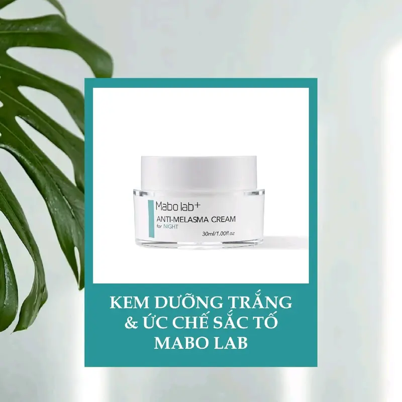 BỘ KEM TRẮNG DA TRỊ NÁM TÀN NHANG- Arbutin, Hydroquinone 2%, Acid Kojic, Vitamin B3, Tretinoin, Tranexamic acid, Vitamin C, Rễ cam thảo, Glycerin 1
