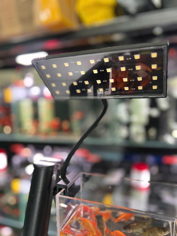 Đèn Led JY-S3 Plus+ - Đỏ Cá Không Đỏ Nước - Nhà Jingye - 18W 5