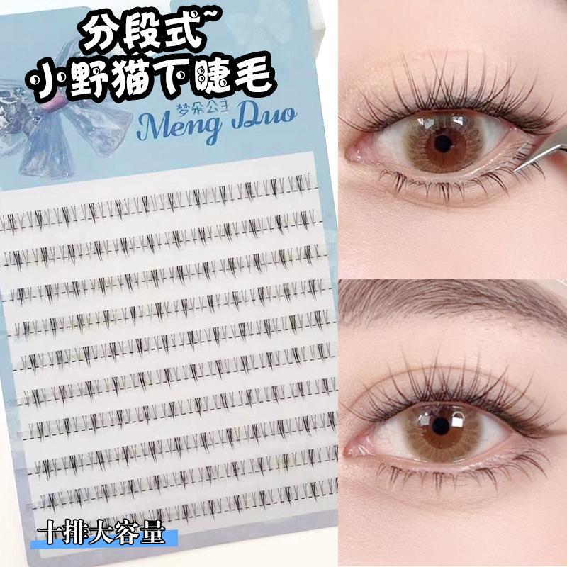 Lông Mi Mèo Hoang Dã, Lông Mi Mèo Lười, Lông Mi Cáo Mô Phỏng - TikTok ...