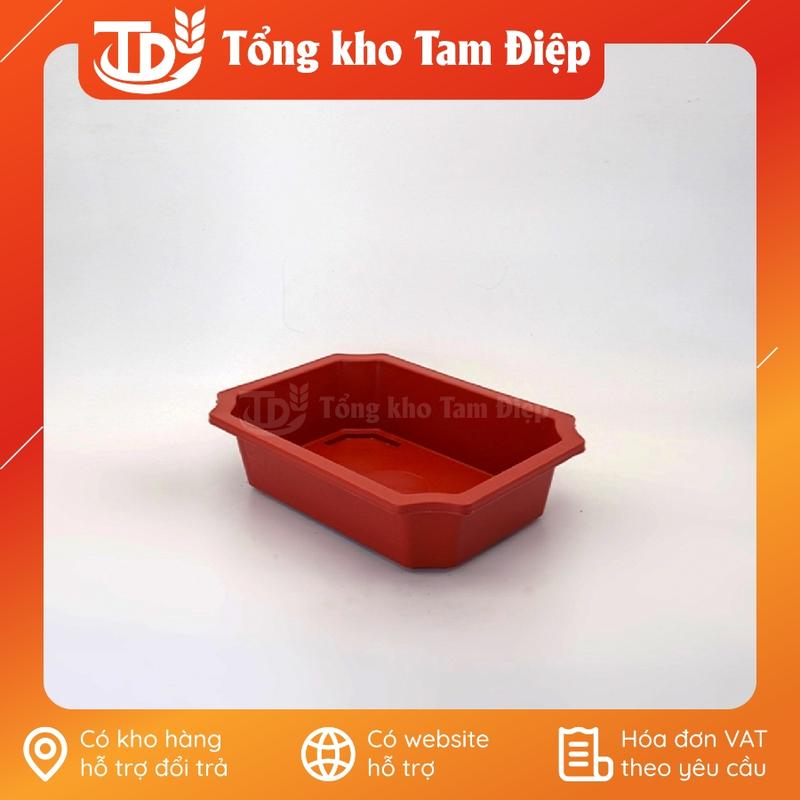 COMBO 5 Ang nhựa hình chữ nhật Nông lòng trồng cây canh, cây bonsai đủ size