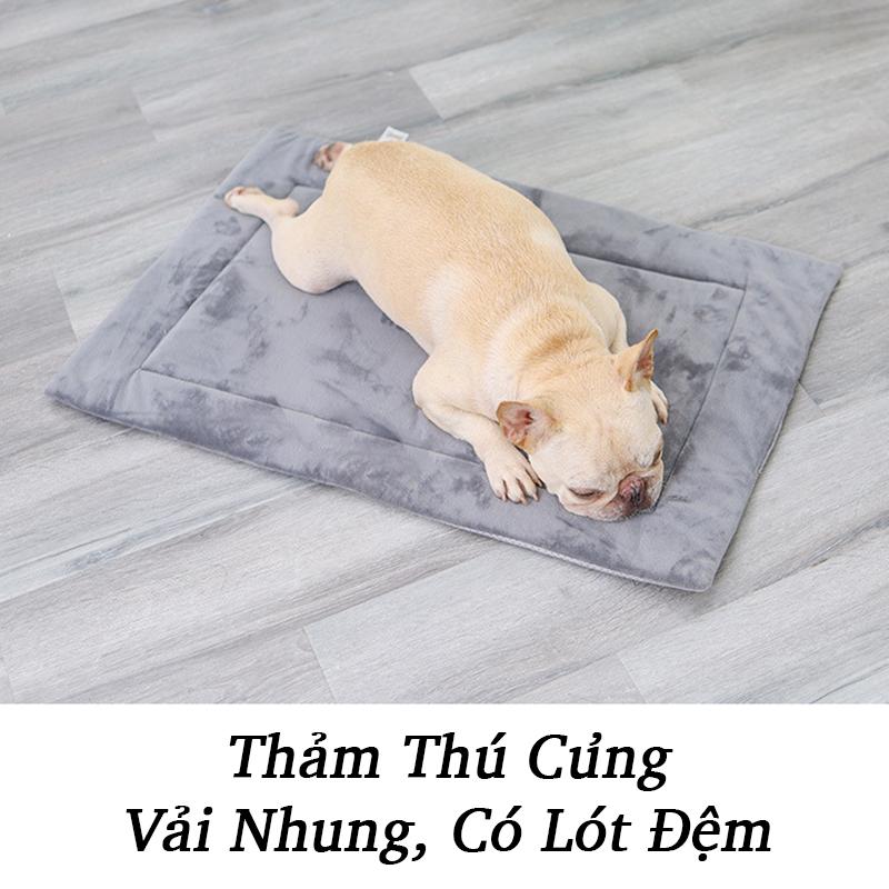 Thảm Cho Chó Mèo 40x50cm Vải Nhung [MÀU NGẪU NHIÊN], Nệm Ngủ Chó, Đệm Lót Chuồng Chó Mèo