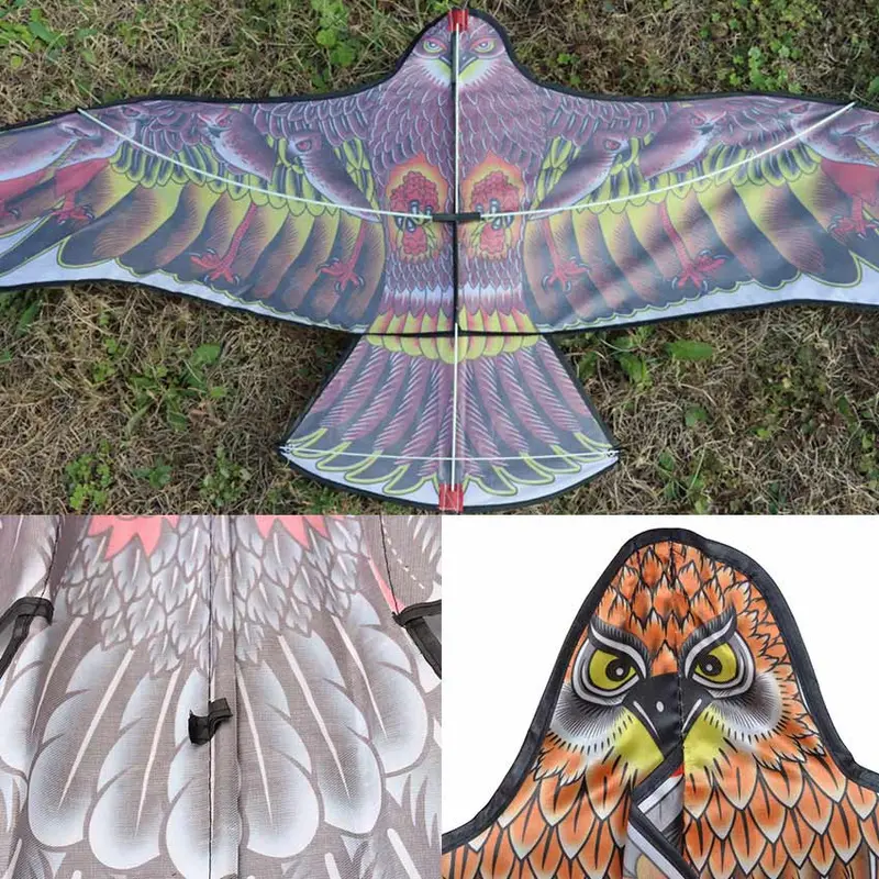 Layang-Layang Bentuk Burung Elang Ukuran 1.2M/1.7M Warna Untuk Acak Outdoor 2