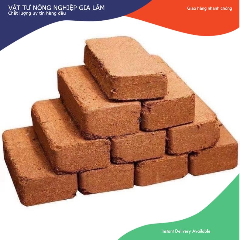Combo 5 viên đất nén xơ dừa tặng 2 gói hạt giống