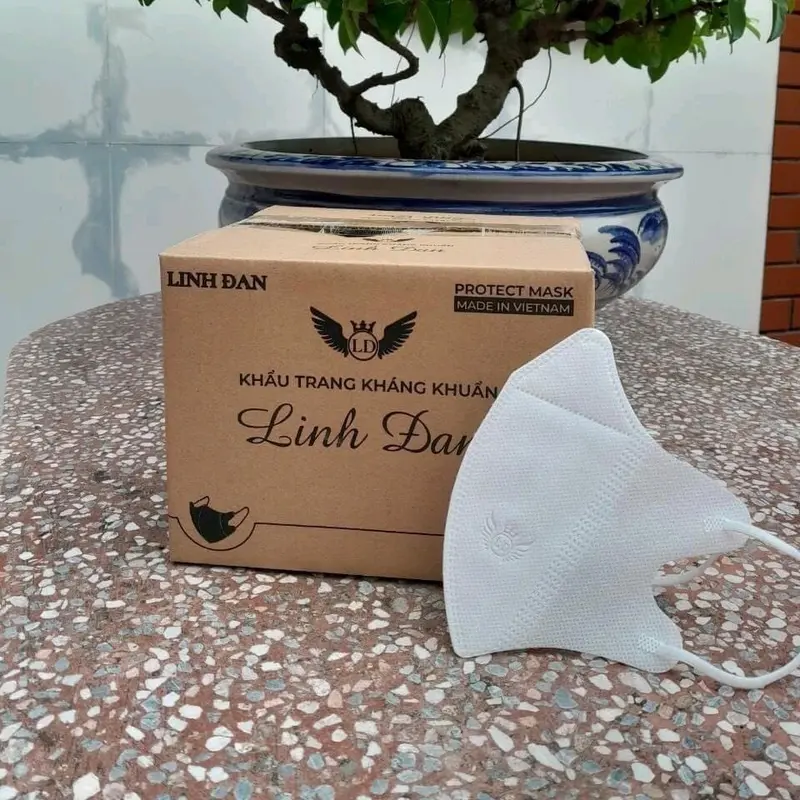 Thùng 400 cái khẩu trang 5D Linh Đan cho người lớn Phụ Kiện Women Voi 6