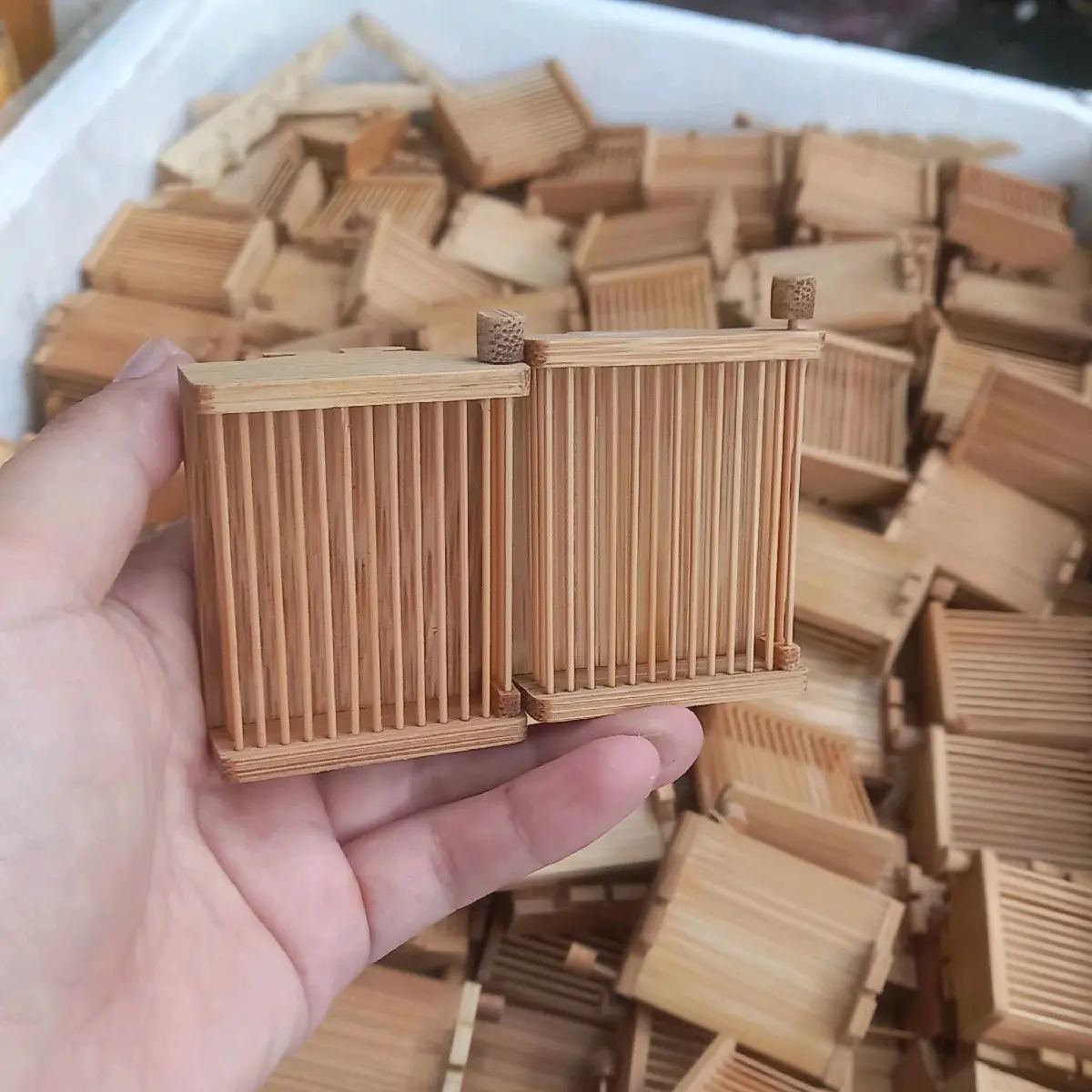 Dọ dế tre bịt kín một mặt lồng chim chào mào