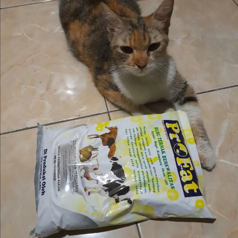 Susu Formula Khusus Profat Kemasan 1 Kg untuk Pertumbuhan Optimal Daging - CV Mitra Adi 3