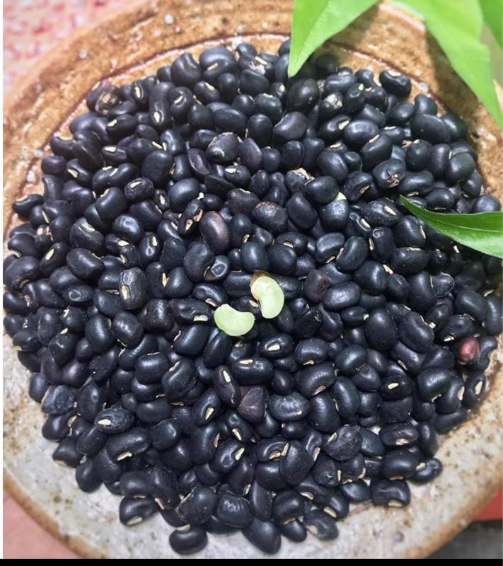 Product Introduction of Đậu đen xanh lòng túi hút chân không 1kg 3