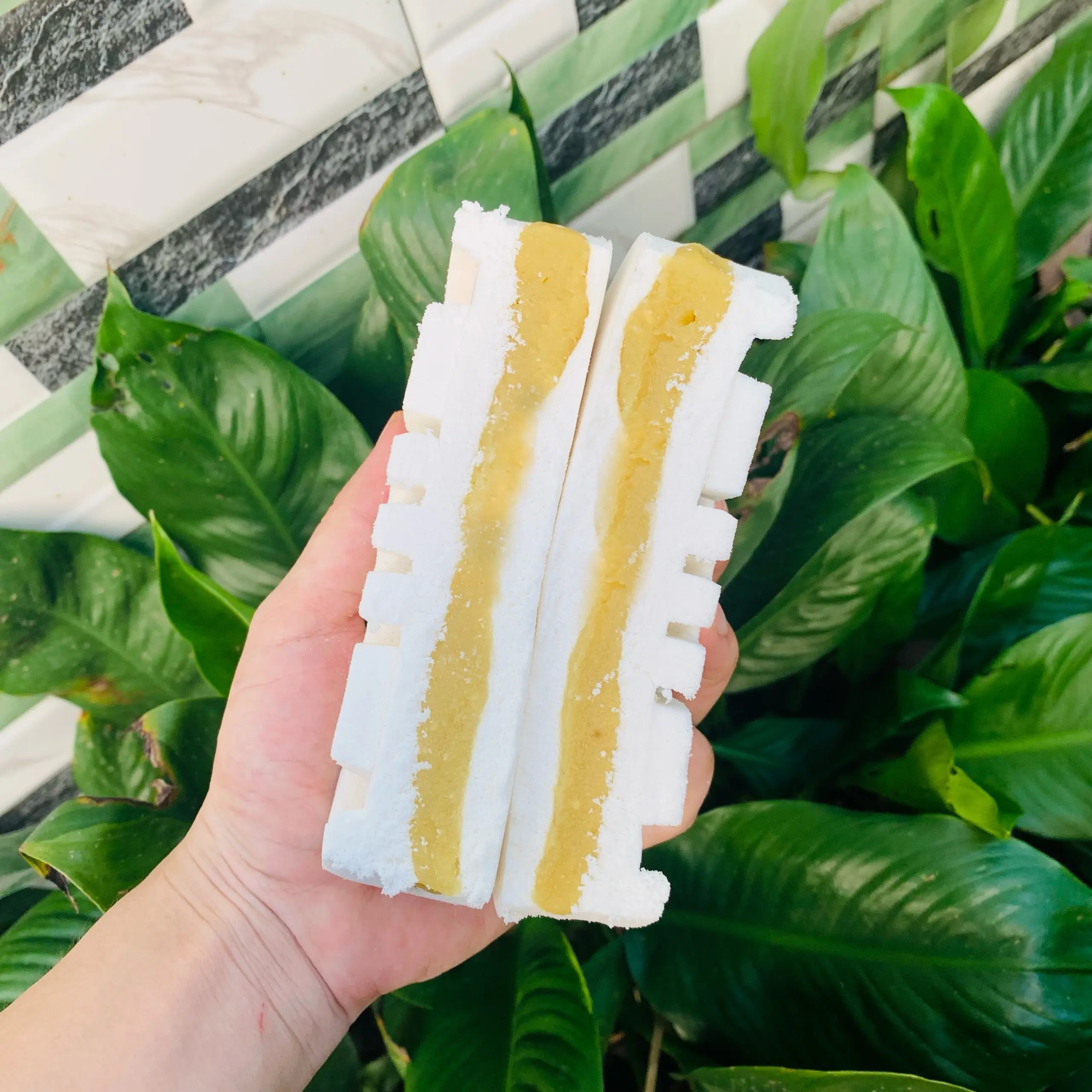 Combo 2 cái Bánh in nhân đậu xanh 500g thơm ngon ngất ngay vị truyền thống nhà Mlem Food. Thức Ăn Thức Ăn