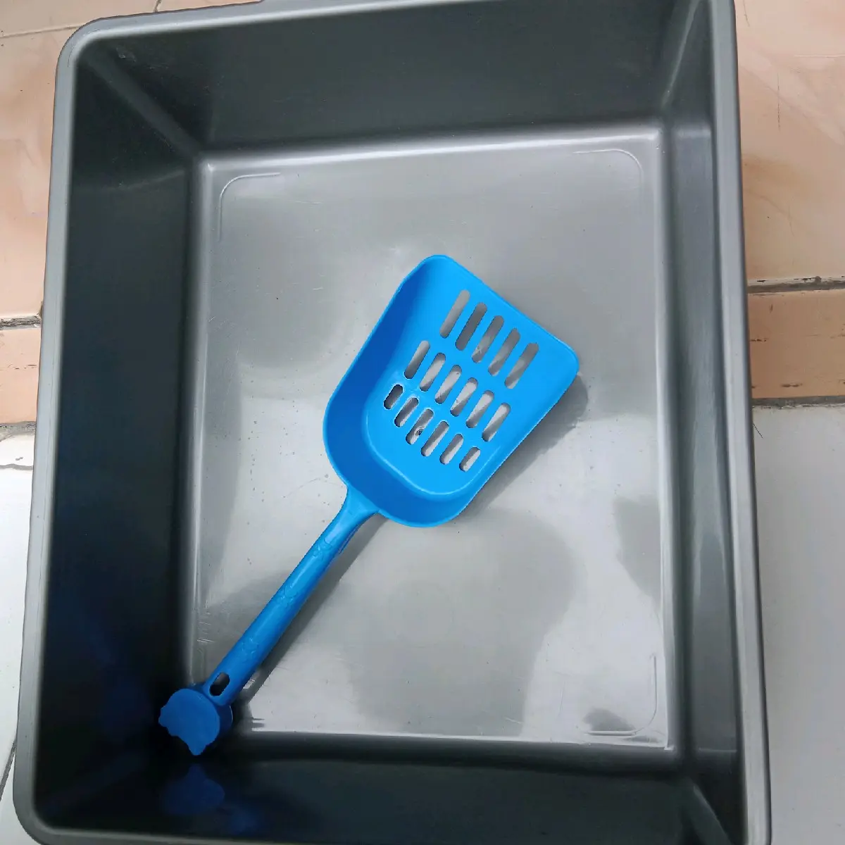 Bak kotak tempat Pup Kucing jumbo + Serokan Pasir Litterbox besar bak pasir kucing