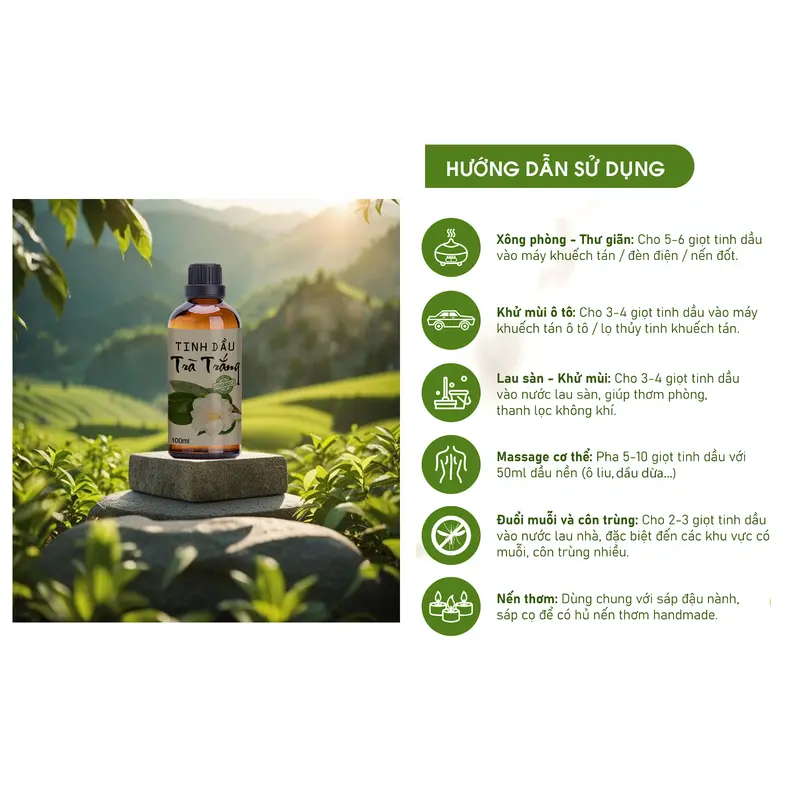 Tinh dầu trà trắng xông thơm phòng, khử mùi, giúp không gian mát mẻ trong lành 3