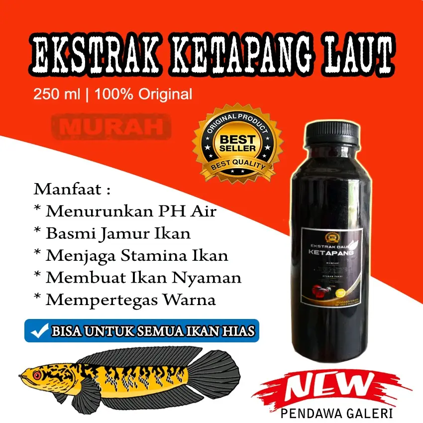 EKSTRAK DAUN KETAPANG LAUT 250 ML