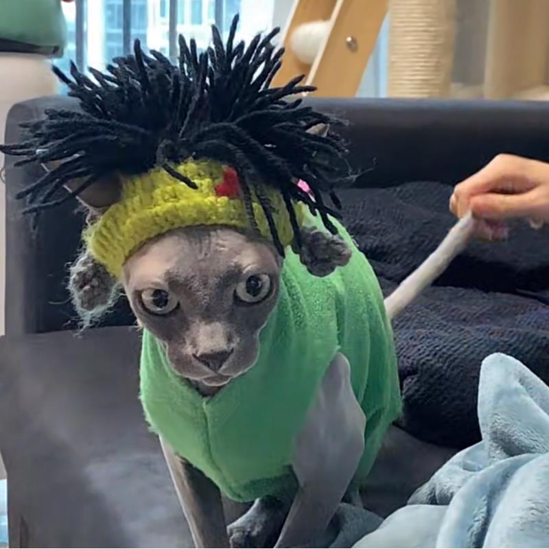 Mũ Mèo, Phong Cách Punk, Thiết Kế Vui Nhộn Không Lông, Thích Hợp Cho Mèo Sphynx, Kẹp Tóc Mũ Đội Đầu Cho Chó, Trang Phục Rock Vui Nhộn Dễ Thương 4
