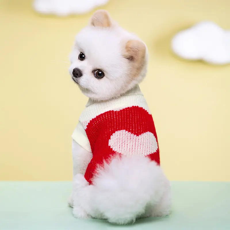 New Spring, Autumn and Winter Multi-Color Knitwear Pet Clothing Dog Clothes Two Feet Warm Leisure Clothing