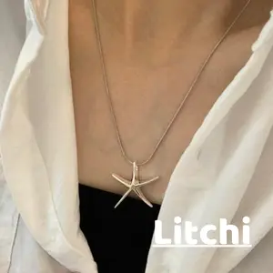 【Litchi】Kalung Berlian Bintang Perak Kualitas Tinggi Elegan Unik Menawan Versatile L133