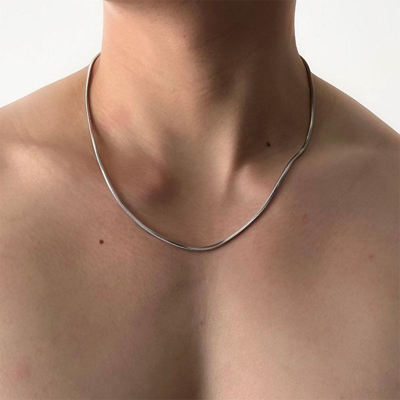  Vòng Cổ Bằng Thép Không Gỉ Thiết Kế Đơn Giản Dành Cho Nam Và Nữ Phong Cách Cổ Điển Thời Trang Dây Chuyền Xương Rắn 