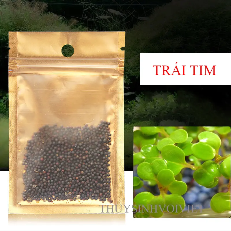Gói 2kg Nền SMeKong cho hồ thủy sinh kèm hạt giống cây thủy sinh 3