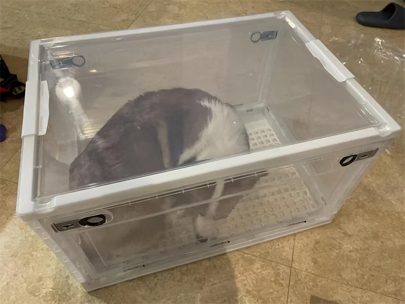 Product Introduction of Pet drying box, cat noise, ultra quiet, transparent wheels, household use, dog and cat bathing, hair blowing, dog hair dryer, connected to pet water, hair dryer 3