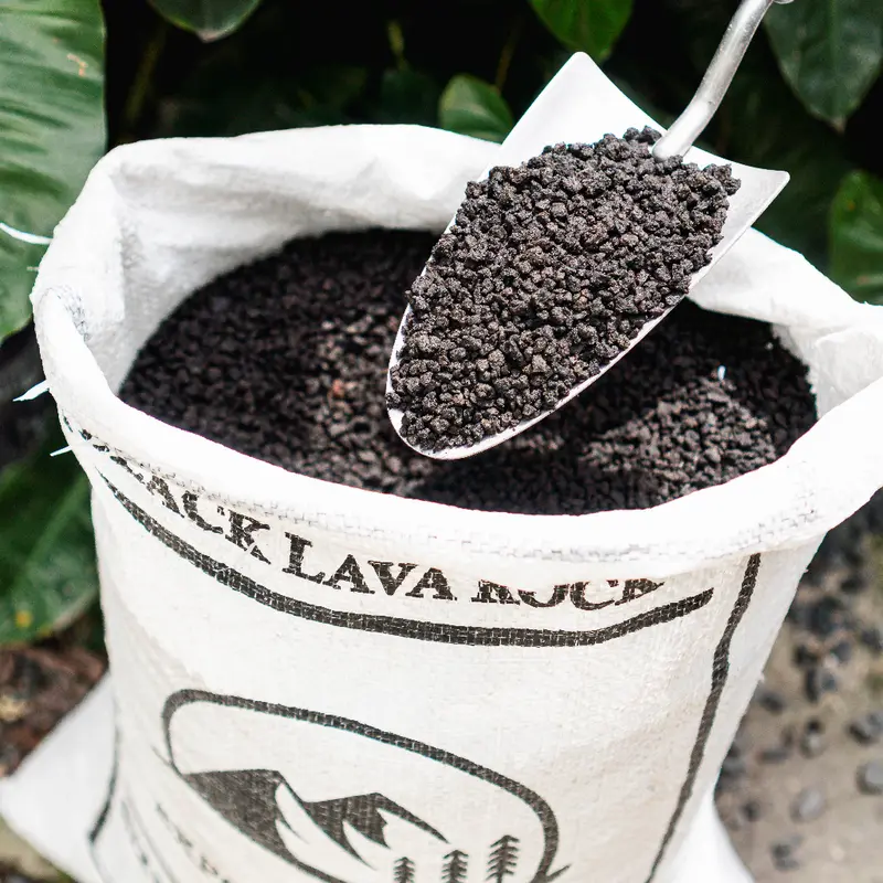 (1kg) Đá Lava đen (Nham Thạch đen) nhập Indo - Rải mặt, trộn đất trồng sen đá - Hồ cá - Kiểng lá - Bonsai | Joy Garden 2