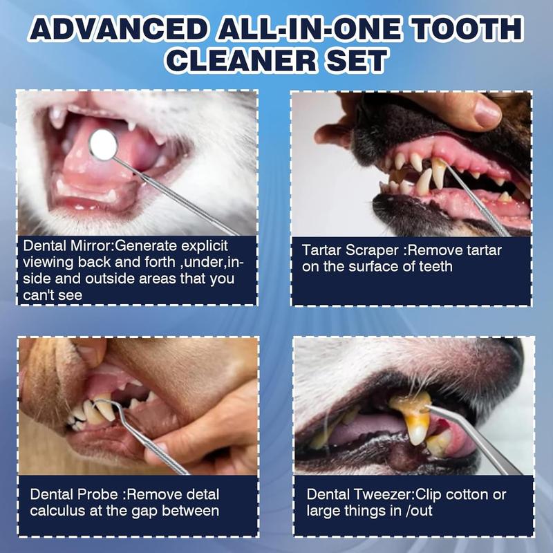 Dog teeth plaque remover best sale