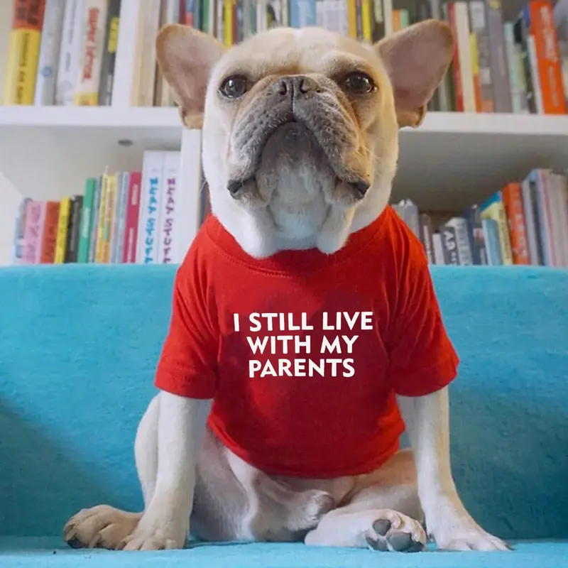 I Still Live with My Parents Letter Print Pet Clothes, 1 Count Funny Creative Pet Clothes, Pet Clothes for Dogs 7