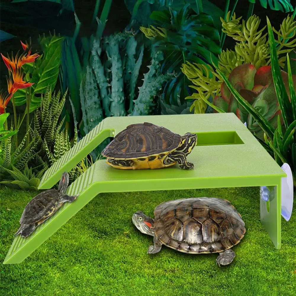 Reptiles Climbing Ladder Plastic Turtle Basking Platform Double Ladder Green Turtle Climbing Platform with Suction Cup Turtle Basking Terrace Aquarium