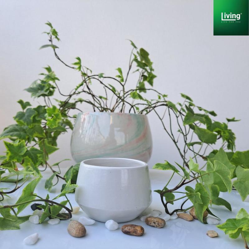Chậu trồng sen đá, xương rồng, tiểu cảnh sứ Bát Tràng , hình hạt rẻ kích thước 8x7cm. l Living Decor 6