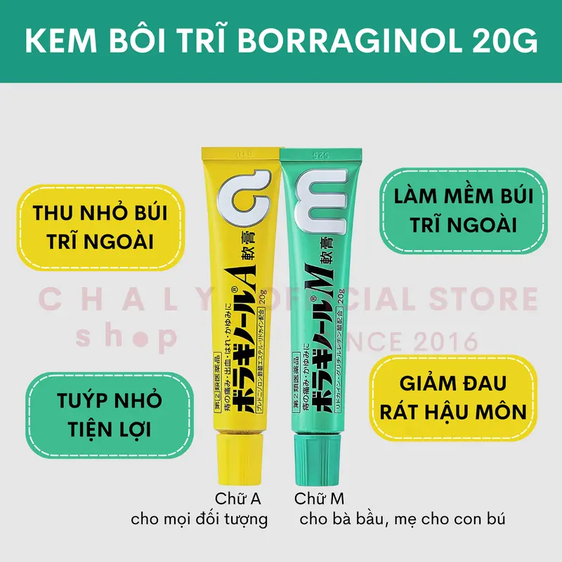 Kem bôi trĩ chữ A 20g Nhật Bản chính hãng 1