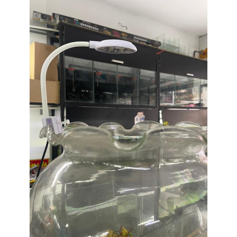Đèn kẹp mini KaoKui KK-JY25 dùng được cho hồ cá tròn