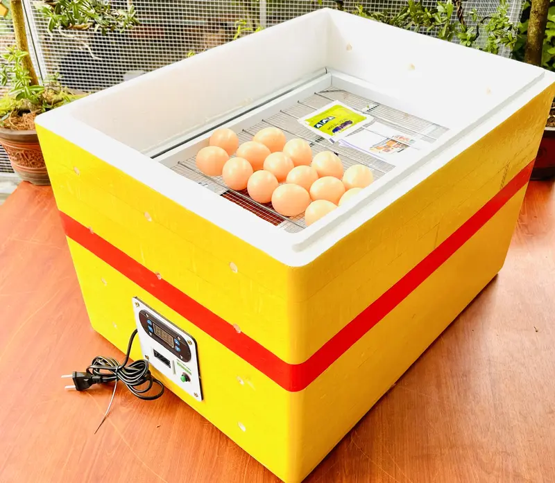 máy ấp trứng đảo tự động thùng xốp loại 54 trứng 0