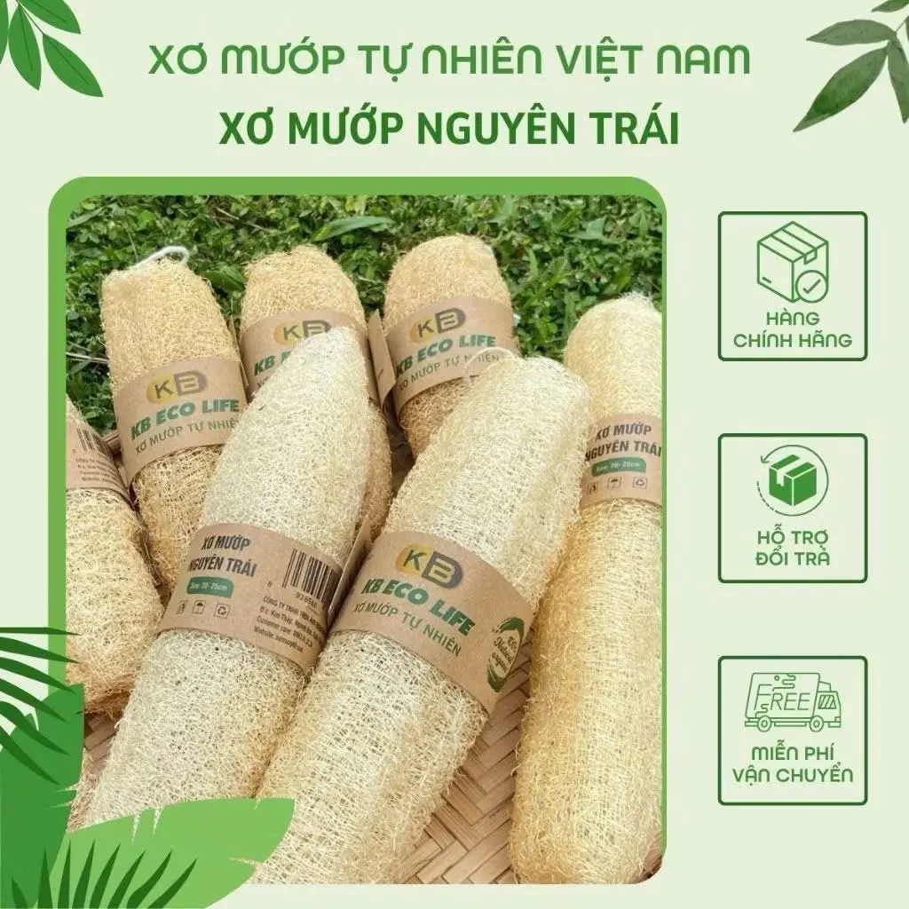 Xơ mướp nguyên trái lành tính KB Ecolife hoàn toàn tự nhiên không chất tẩy trắng Làm Sạch