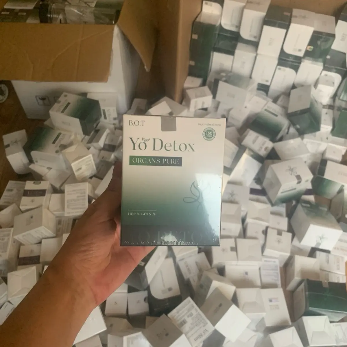 Thực phẩm bổ sung bảo vệ sức khoẻ Yo DETOX
