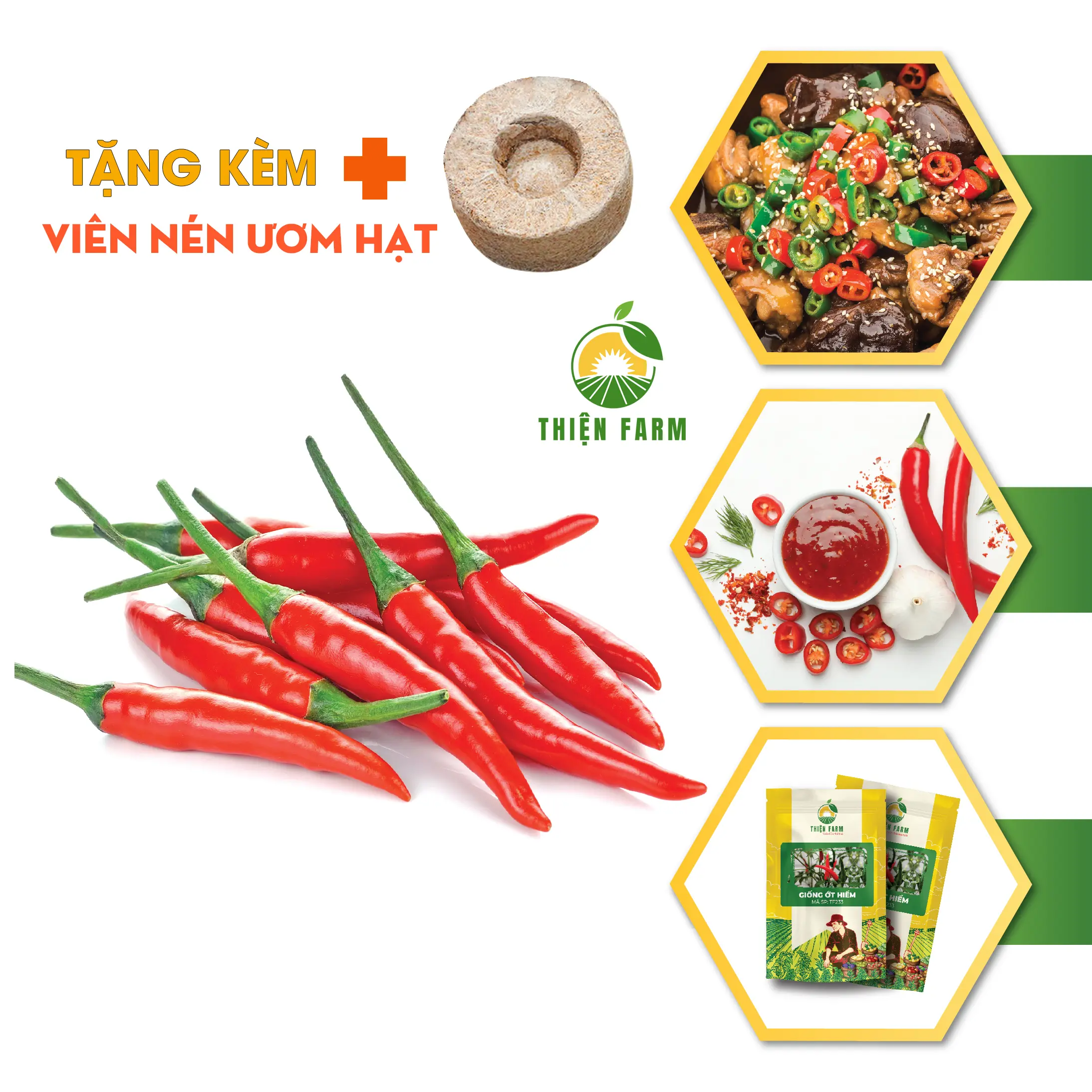 Hạt giống Ớt Hiểm THIỆN FARM TF233 (40 hạt), sai trái, vị siêu cay, thơm nồng, dễ trồng, thu hoạch quanh năm