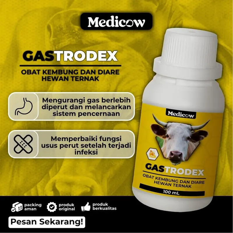 Medicow Gastrodex Obat Kembung Untuk Sapi 100ml | sapi kembung - Shop ...