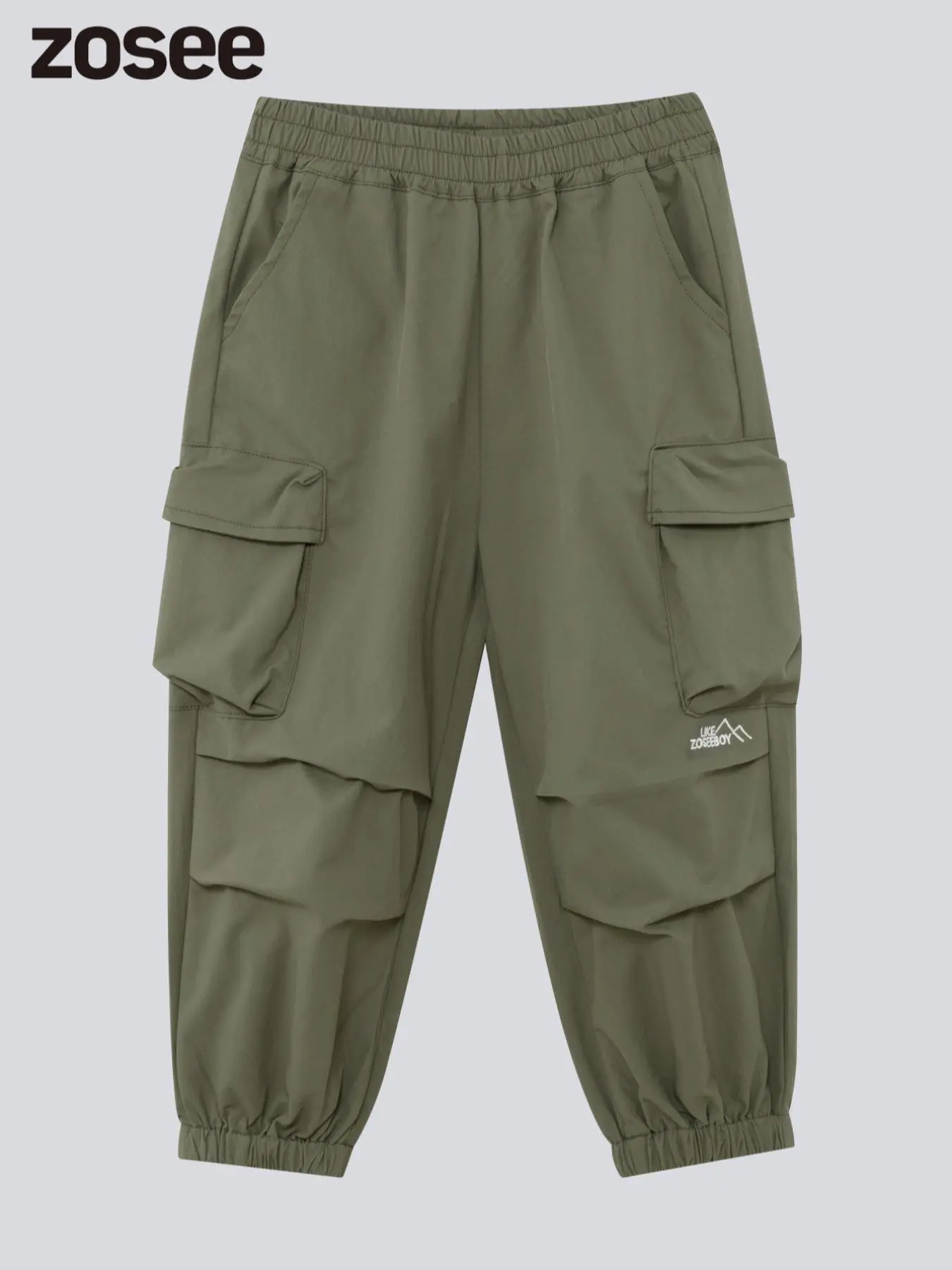 Boy's Solid Color Embroidery Ruched Pocket Cargo Pants, Casual Elastic Waist Trousers for Fall & Winter, Kids Bottoms for Daily Wear
