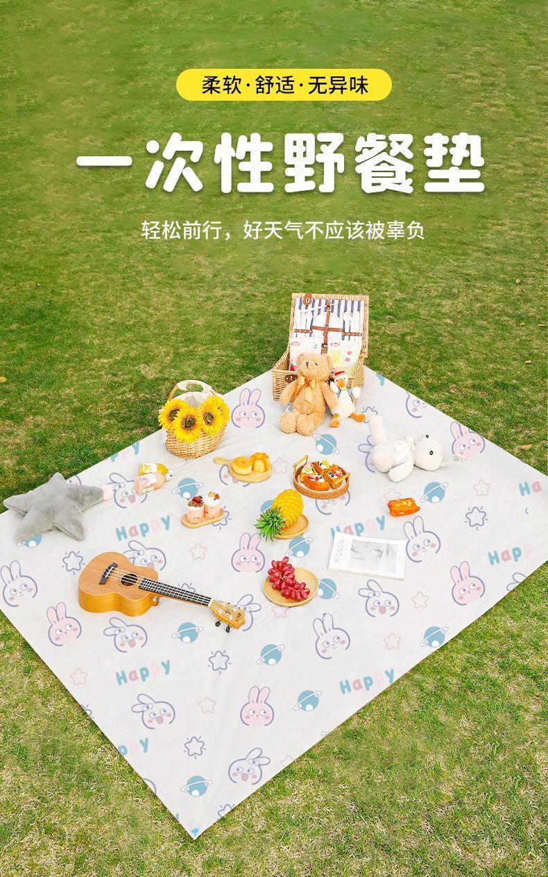 Product Introduction of Đệm Chống Ẩm Dùng Một Lần, Thảm Tiệc Tùng Mùa Xuân, Thảm Dã Ngoại, Chống Ẩm Ngoài Trời, Cầm Tay, Không Thấm Nước, Thích Hợp Cho Cắm Trại Ngoài Trời, Đệm Dã Ngoại, Năm 2024 0