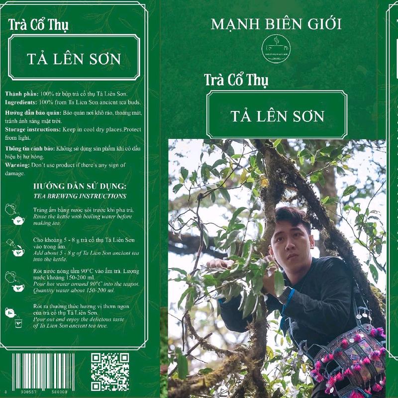 100g Trà shan tuyết cổ thụ Tả liên sơn phẩm trà từ 300 đến trên 500 năm . Mạnh biên giới - Hợp tác xã Mạnh Trà 2