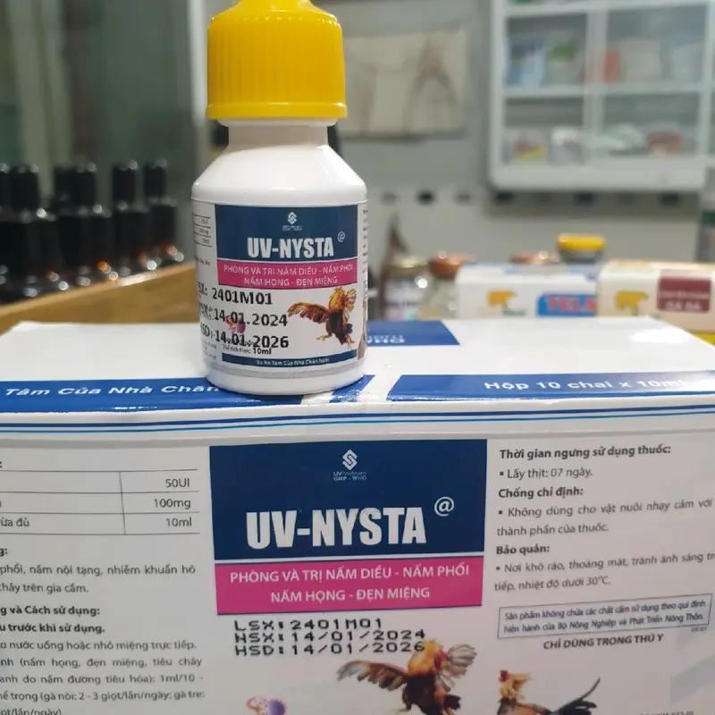 1 chai Nysta UV (dung dịch uống 10ml) đặc trị đẹn, nấm diều, nấm phổi, nấm họng cho gà đá thuốc  trị 3